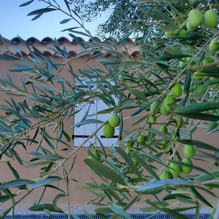 Reve En Luberon Villa Lauris Luaran gambar