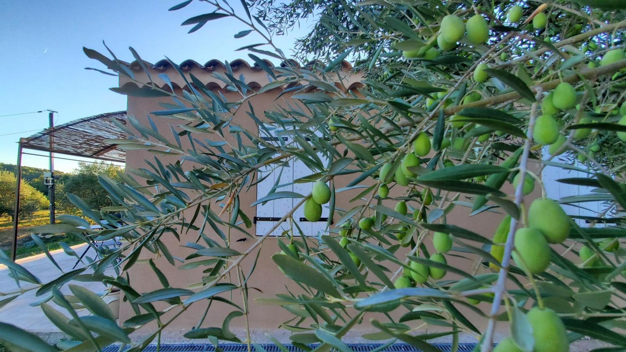 Reve En Luberon Villa Lauris Luaran gambar