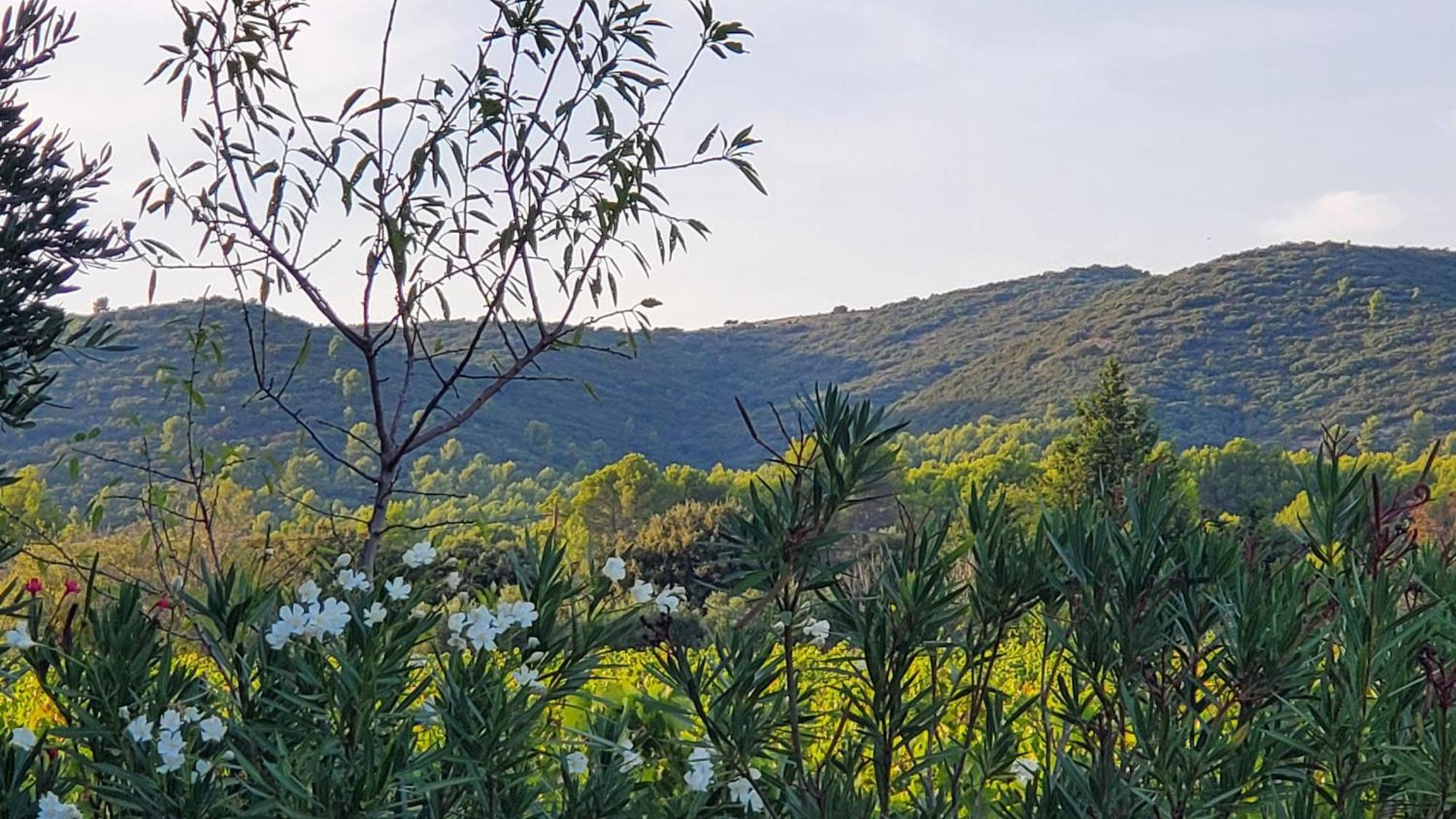Reve En Luberon Villa Lauris Luaran gambar